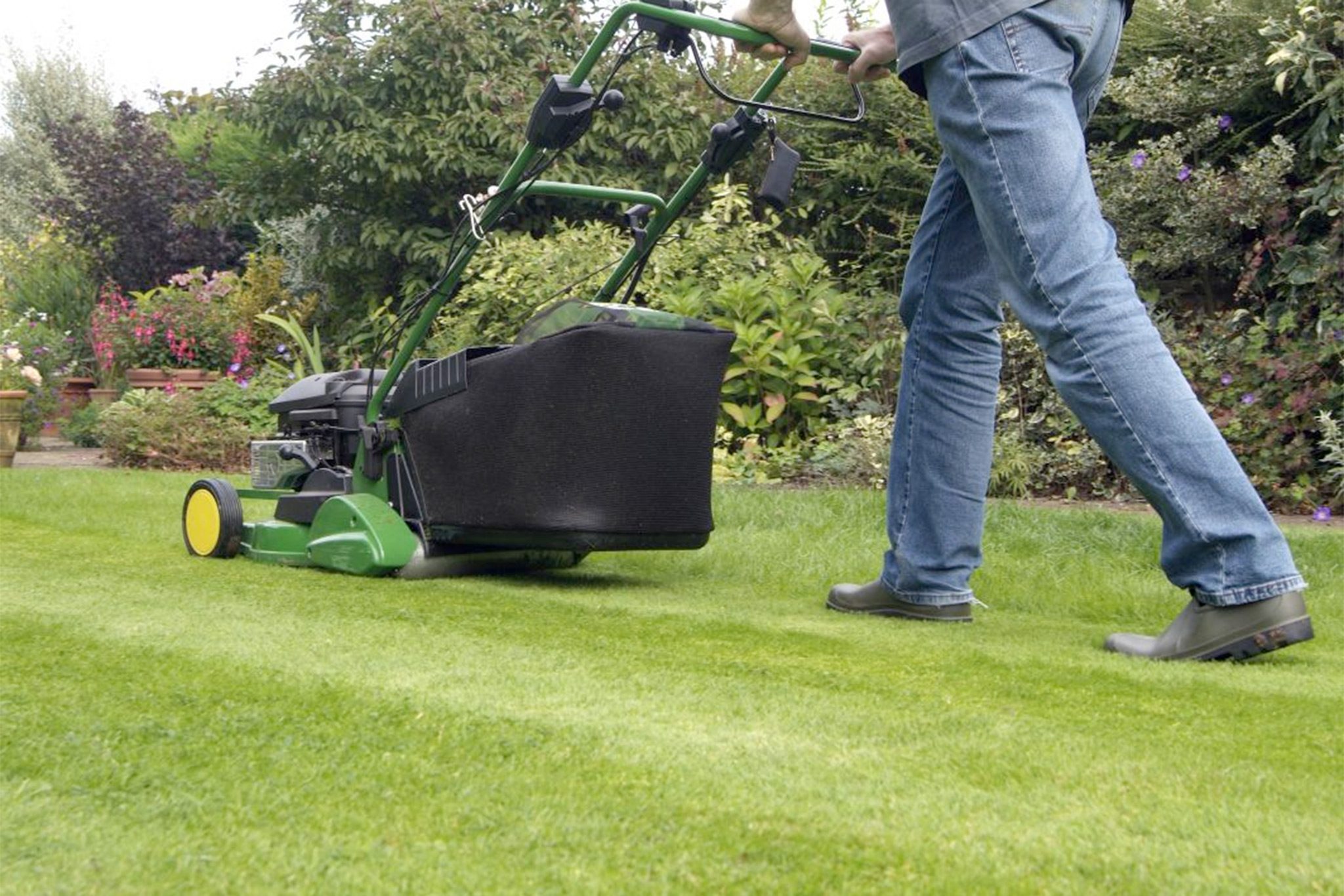 Lawn Care